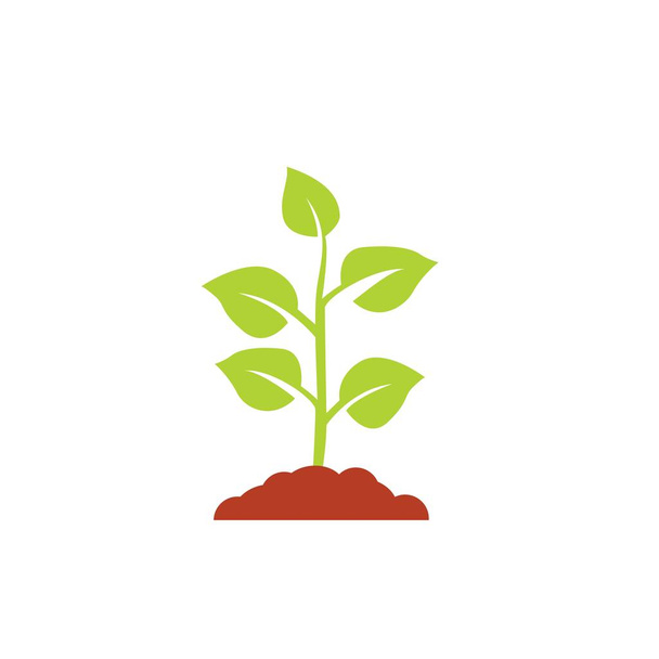 Seedling icon vector, growing tree, green agriculture - Vector, Image
