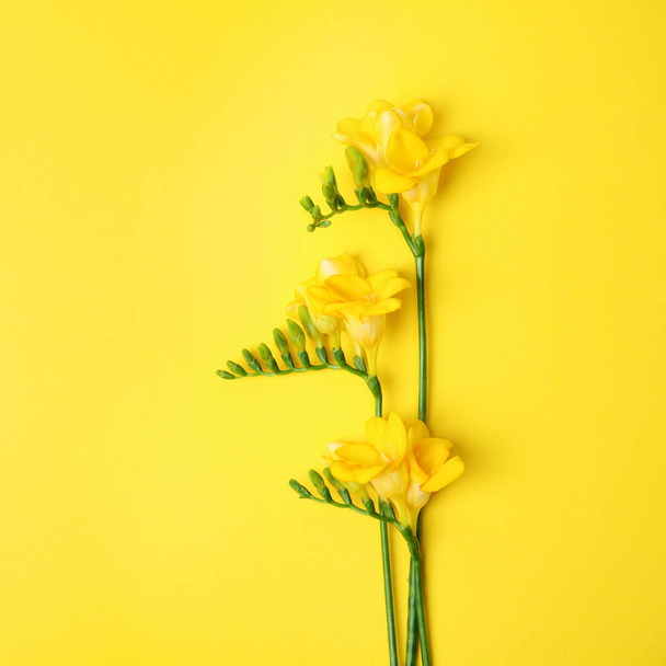 Beautiful freesia flowers on color background - Фото, зображення