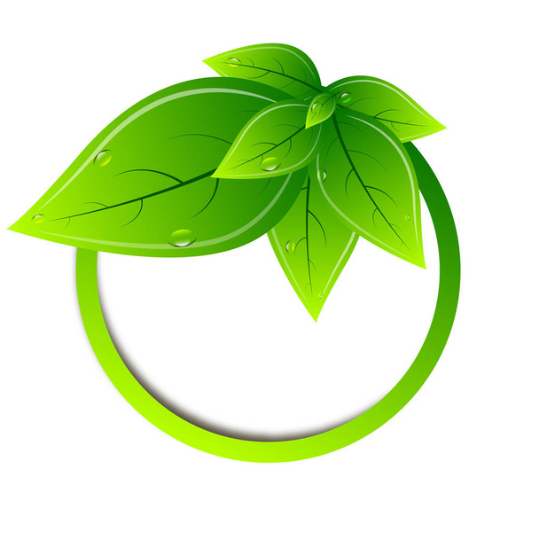 banner anel com folhas verdes
 - Vetor, Imagem