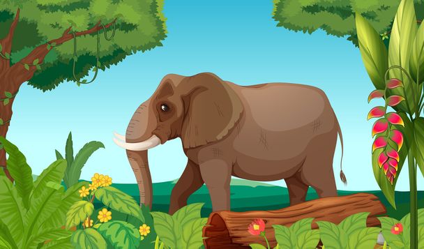 ein großer Elefant im Dschungel - Vektor, Bild
