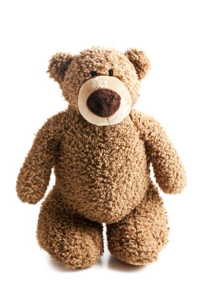 teddy bear - Фото, зображення