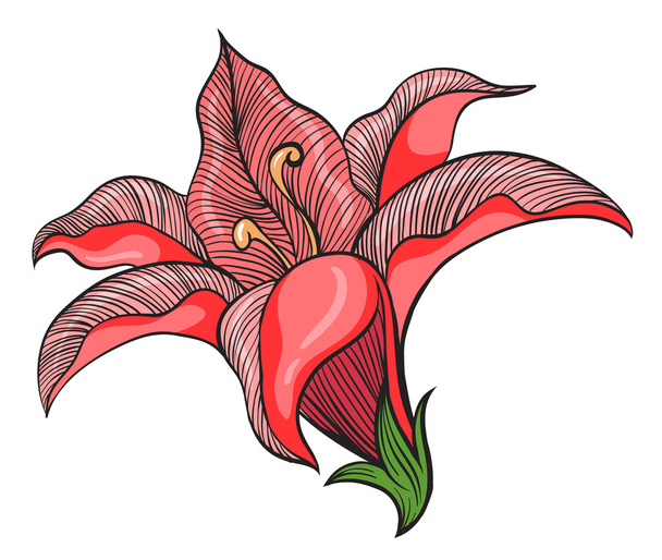 Ένα ροζ λουλούδι - Διάνυσμα, εικόνα