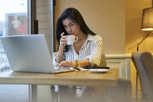 Concentrated female owner of company reading news from network starting working day with coffee cup and online media reviews, experienced businesswoman doing remote job using application on laptop - Photo, Image