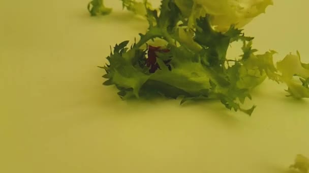 салат зеленый на белом фоне капли, замедленной съемки
 - Кадры, видео