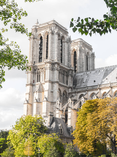 Bella fotografia turistica di viaggio della famosa e storica cattedrale cattolica di Notre Dame a Parigi Francia incorniciata da lussureggianti alberi verdi e arancioni e nuvole bianche nel cielo sopra
. - Foto, immagini
