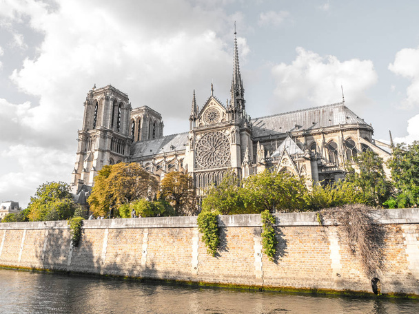 Güzel turistik seyahat fotoğraf dünyasının ünlü ve tarihi Katolik Katedrali Notre Dame de Paris Fransa çerçeveli tarafından gür yeşil ve turuncu yaprak dolu ağaçları ve beyaz bulutlar gökyüzünde yukarıdaki. - Fotoğraf, Görsel