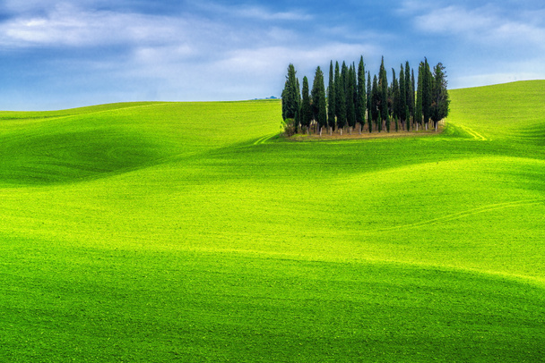 Green Hills táj Toszkána, Olaszország - Fotó, kép