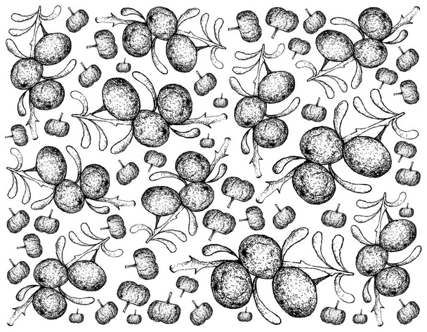 Sfondo disegnato a mano di frutta Goji nera
 - Vettoriali, immagini