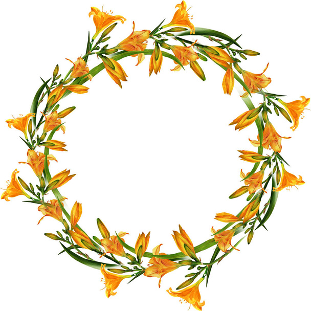 Ronde frame van de takken van bloeiende lelies. Lily met bloemen bladeren en knoppen op een witte achtergrond. - Foto, afbeelding
