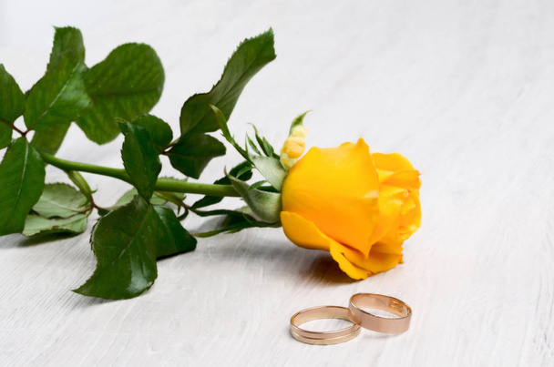 Пара обручальных колец и желтая роза. Селективный фокус
. - Фото, изображение