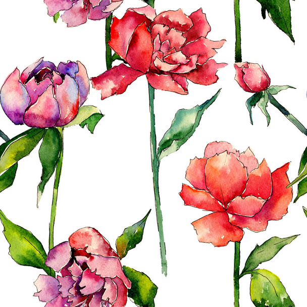 Wildflower peony flower pattern in a watercolor style. - Foto, afbeelding
