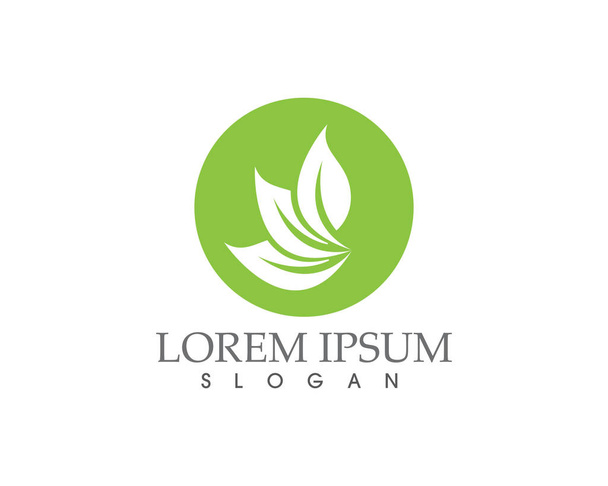 Yeşil yapraklı ekoloji doğa element ikonu logoları - Vektör, Görsel