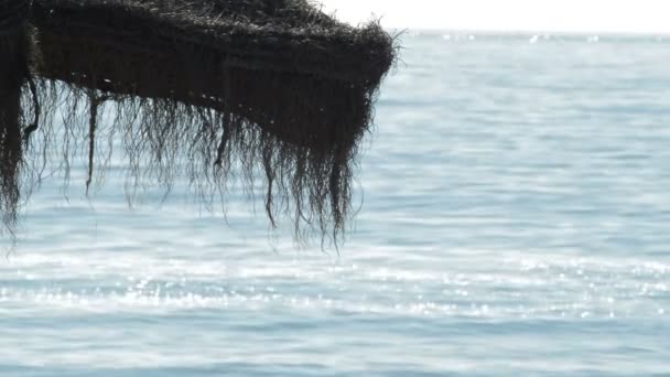 Detalle de sombrilla de playa con olas marinas rompiendo en la orilla en una mañana soleada
 - Imágenes, Vídeo