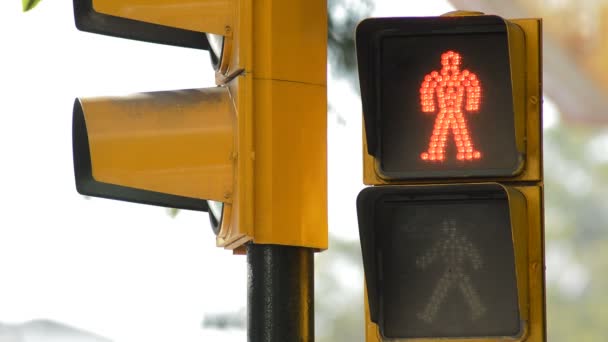 Traffic light for pedestrians in red turning into green - Footage, Video