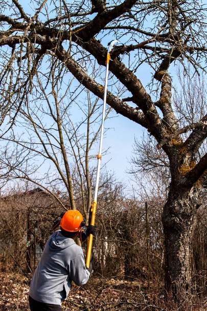Man in a helmet cut dry branches of cherry tree. Spring work at the fruit garden. - Fotó, kép
