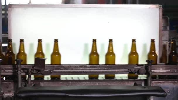 Clean bottles are moving along the conveyor. - Footage, Video