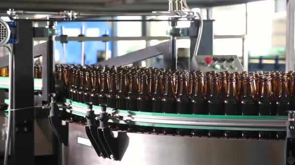 Garrafas castanhas de cerveja se movem ao longo da correia transportadora
 - Filmagem, Vídeo