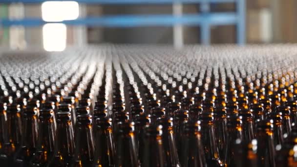 Empty beer glass bottles on the conveyor belt. - Footage, Video