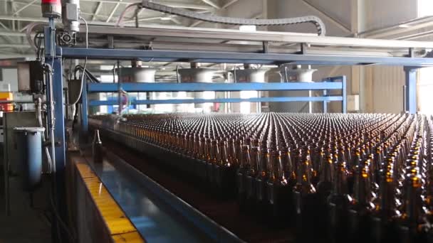 Reihen von Bierflaschen in der Fabrik. - Filmmaterial, Video