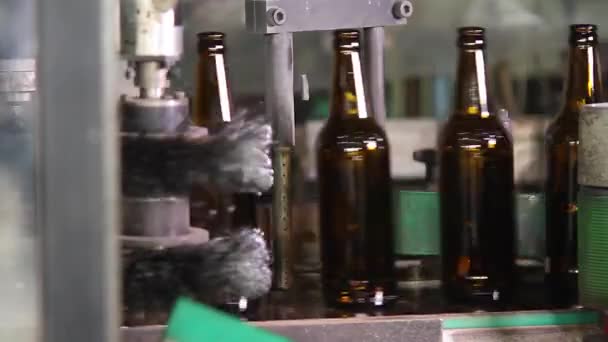 Kwaliteitscontrole van glazen flessen. - Video