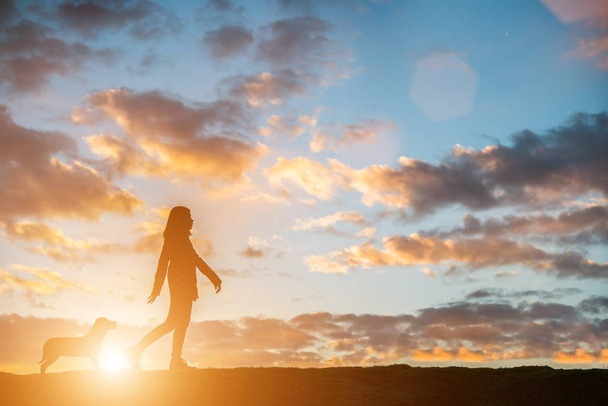 Silhueta de uma jovem caminhando com seu cachorro ao pôr do sol
. - Foto, Imagem