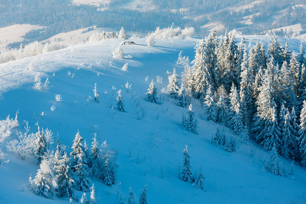 Berg besneeuwde winterlandschap - Foto, afbeelding