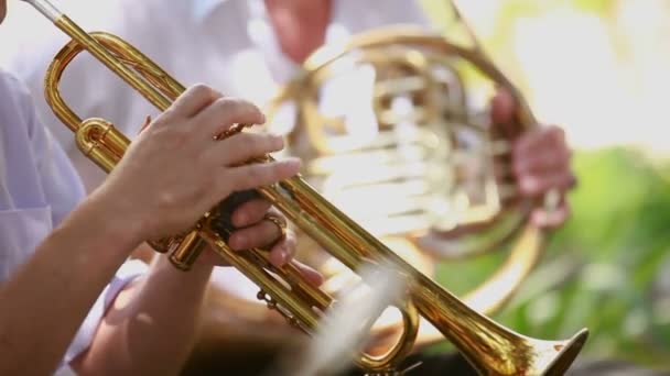 Mann trompetet. Mann des Orchesters spielt professionell Trompete. - Filmmaterial, Video