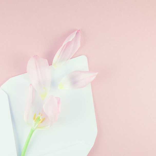 Tulipa rosa com pétalas em envelope de papel aberto
 - Foto, Imagem