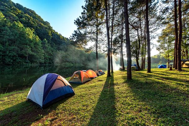 Camping, Camping przygody i namiot pod lasem w pobliżu wody, odkryty w rano i zachód słońca w Pang-ung, las sosnowy, Mae Hong Son, północnej Tajlandii, tle lasu. Koncepcja podróży - Zdjęcie, obraz