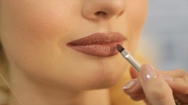 The make-up artist puts on the lips of the model a light lipstick - Πλάνα, βίντεο