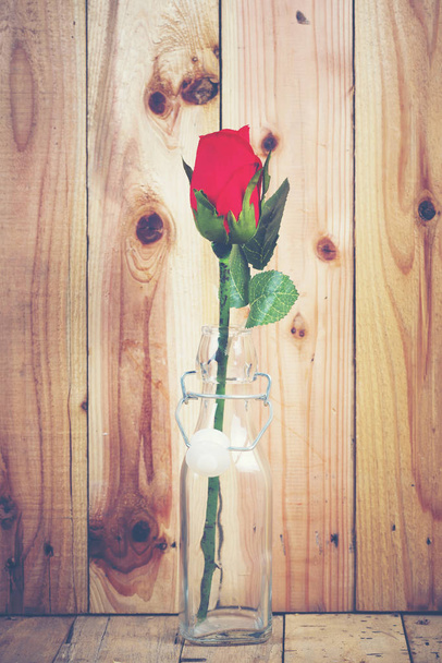 vintage rose flower for use - Valokuva, kuva