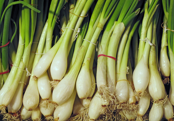 Fresh green onion - Photo, Image