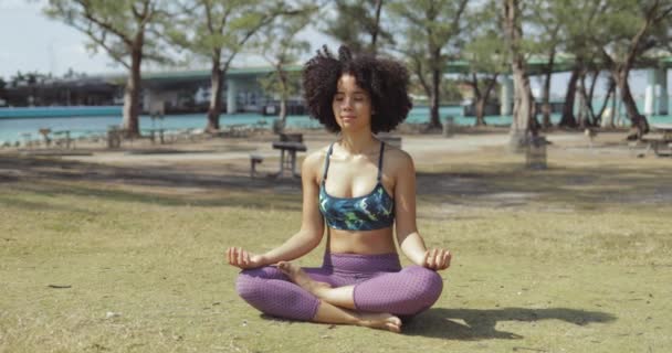 Zufriedene Frau meditiert im Sonnenlicht im Park - Filmmaterial, Video