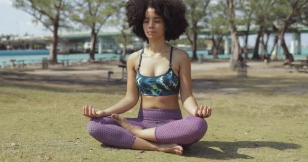 Relajada mujer meditando en el césped verde
 - Imágenes, Vídeo