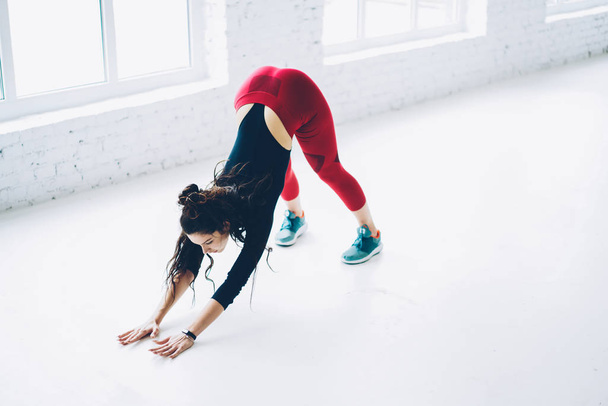 Motivated fitness girl in trendy active wear training keeping perfect body shape na health ,determined young sportswoman bending having pilates practising in white interior studio stretching muscles - Foto, immagini