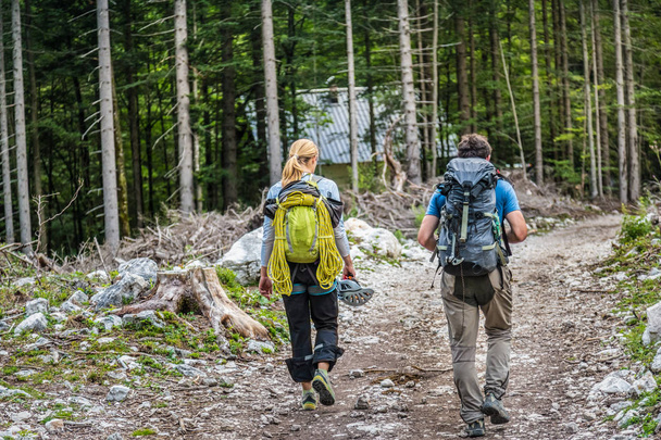 Vista posteriore di due giovani coppie attive che camminano lungo il sentiero nel bosco
. - Foto, immagini