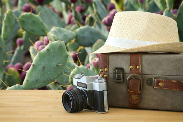 equipaje vintage viajero, cámara y sombrero fedora sobre mesa de madera frente a un cactus desierto. vacaciones y concepto de vacaciones
. - Foto, Imagen