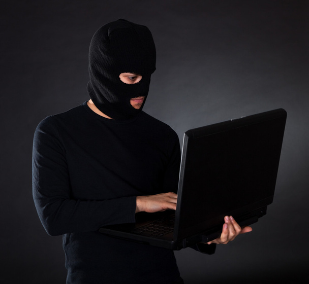 Burglar on Computer - 写真・画像