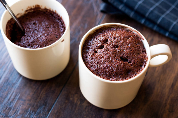 Microwave Brownie Chocolate Mug Cake Ready to Eat. - Foto, afbeelding
