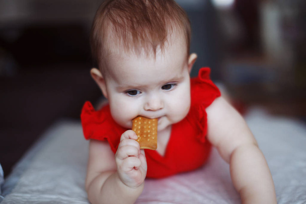 Ένα χαριτωμένο μωρό σε ένα κόκκινο φόρεμα - Φωτογραφία, εικόνα