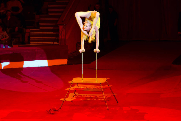 Visite du Cirque d'Etat de Moscou nommé d'après Nikuline. Caoutchouc (nombre effectué par Alesya Laverycheva
) - Photo, image