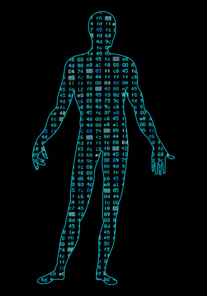 Kunstmatige intelligentie. Silhouet van het lichaam van een man, binnen welke binaire code. Het kan illustreren wetenschappelijke ideeën, kunstmatige neurale netwerken, diep leren, ontwikkeling van de technologie - Vector, afbeelding