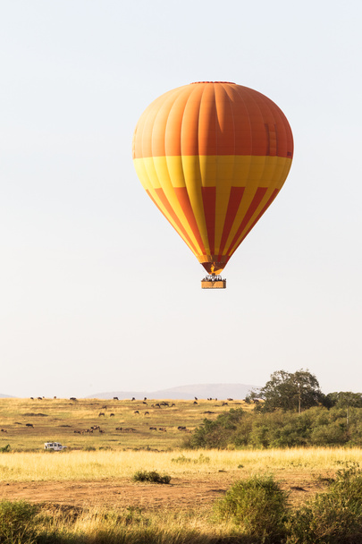 En un globo sobre la gran llanura de Masai Mara. Kenia
 - Foto, Imagen