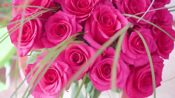 Όμορφα άνθη κόκκινα τριαντάφυλλα. Μπουκέτο λουλούδια γκρο πλαν - Πλάνα, βίντεο