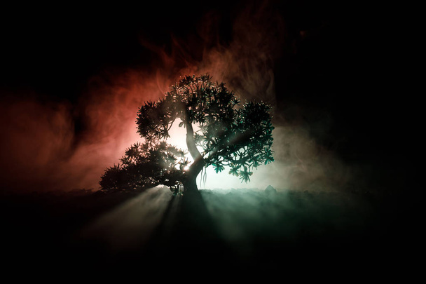 Παλιό σπίτι με ένα φάντασμα στο δάσος τη νύχτα ή εγκαταλειφθεί στοιχειωμένο σπίτι του τρόμου στην ομίχλη. Παλιό κτίριο mystic στο νεκρό δέντρο δάσος. Δέντρα τη νύχτα με φεγγάρι. Σουρεαλιστικό φώτα - Φωτογραφία, εικόνα
