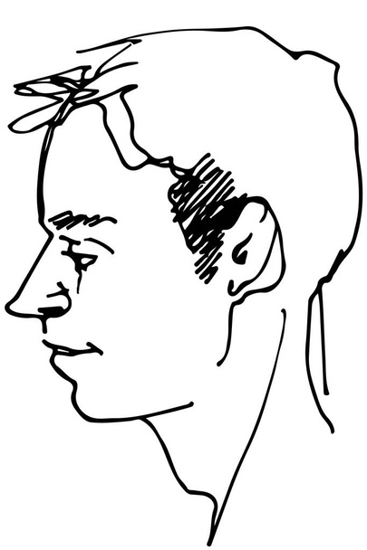  bosquejo vectorial de un hermoso perfil de hombre
 - Vector, Imagen