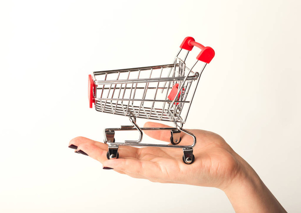 Woman hand holding empty shopping cart - Foto, afbeelding