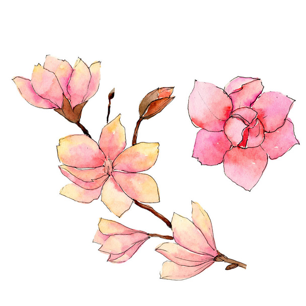 Wildflower magnolia kukka akvarelli tyyli eristetty
. - Valokuva, kuva