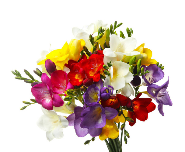 Bouquet of beautiful freesia flowers on white background - Foto, Imagem