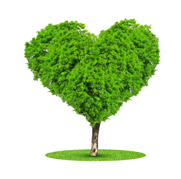 Tree in the shape heart - Photo, Image
